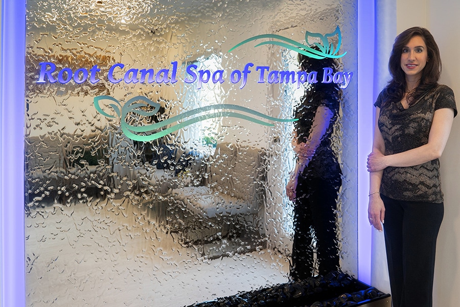 Dr With Waterfall Photo